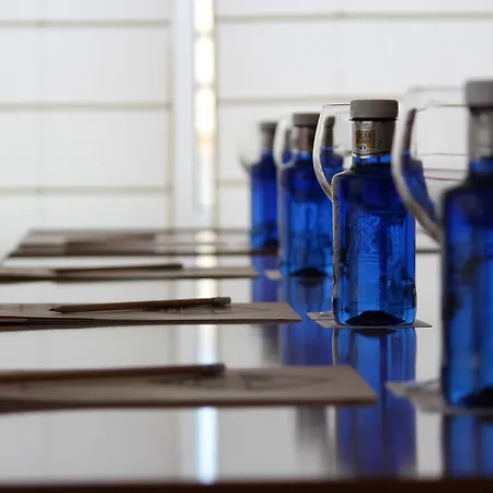 阿扎尔酒店 普拉森西亚