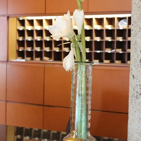 阿扎尔酒店 普拉森西亚